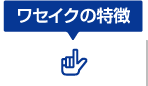 人吉球磨の塾の早稲田育英ゼミナール人吉駅前教室・中球磨教室（ワセイク）の特徴についてご説明いたします。。